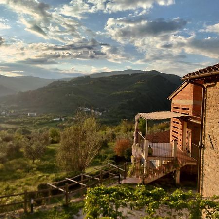 Agriturismo La Fontaccia Rufina Екстериор снимка