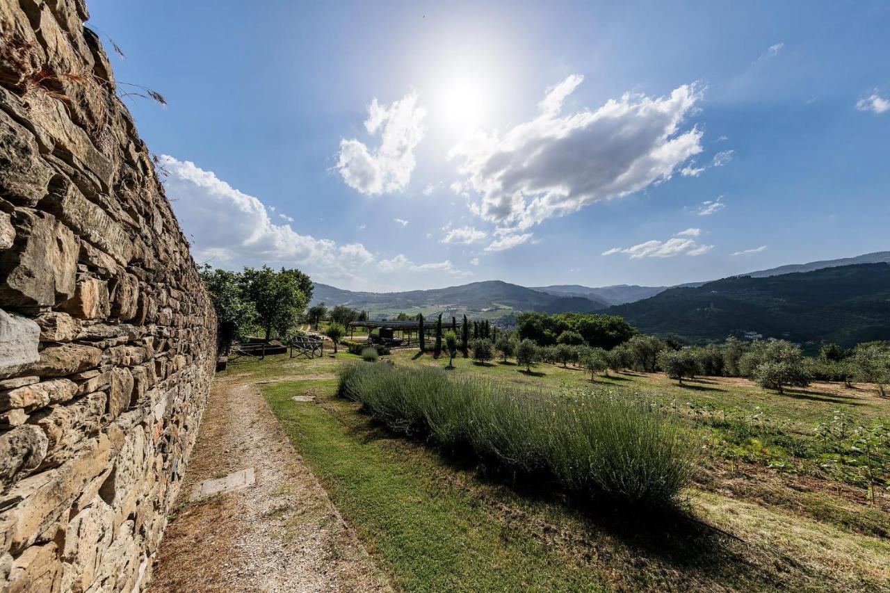 Agriturismo La Fontaccia Rufina Екстериор снимка