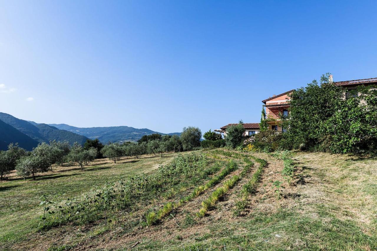 Agriturismo La Fontaccia Rufina Екстериор снимка