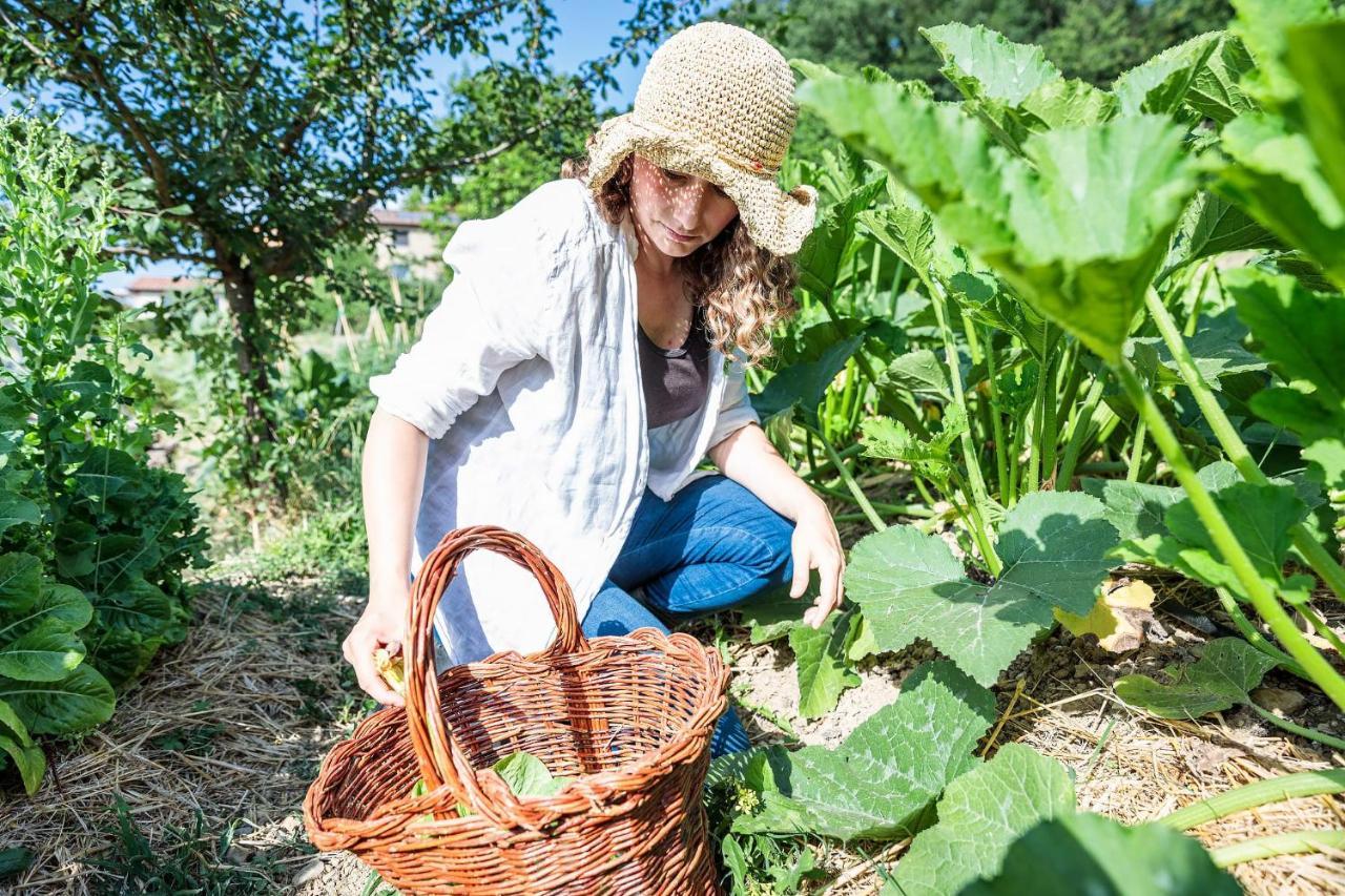 Agriturismo La Fontaccia Rufina Екстериор снимка