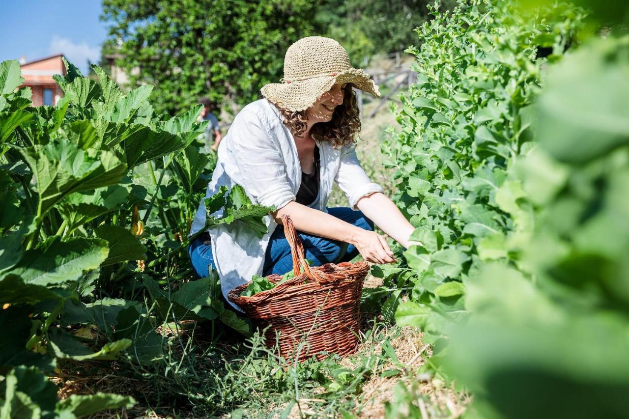 Agriturismo La Fontaccia Rufina Екстериор снимка