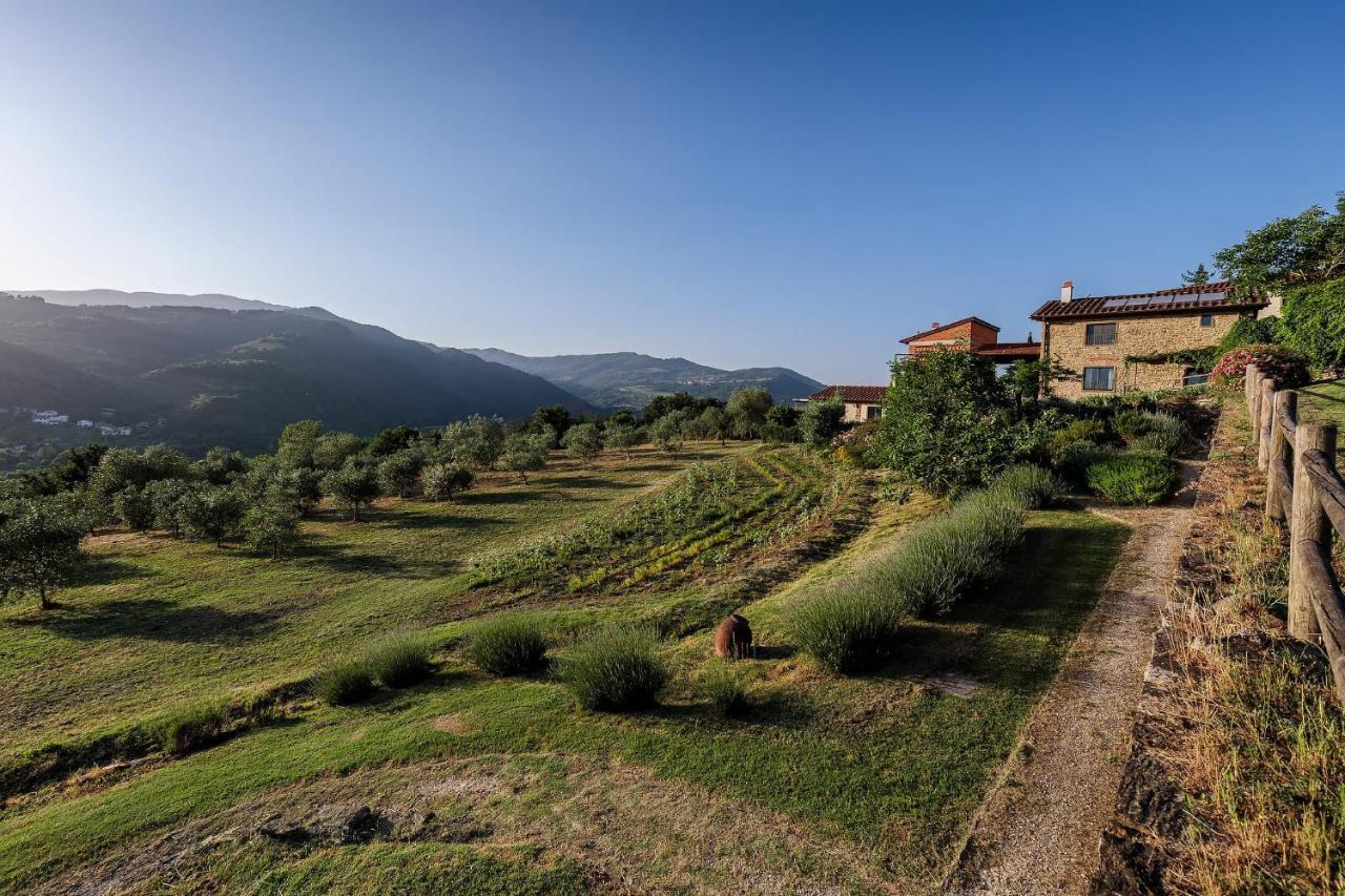 Agriturismo La Fontaccia Rufina Екстериор снимка