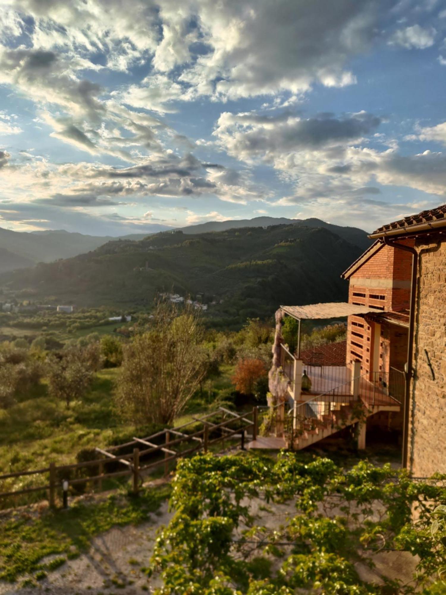Agriturismo La Fontaccia Rufina Екстериор снимка