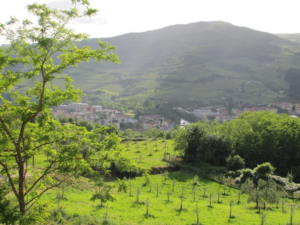 Agriturismo La Fontaccia Rufina Екстериор снимка