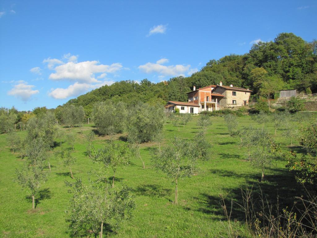 Agriturismo La Fontaccia Rufina Екстериор снимка