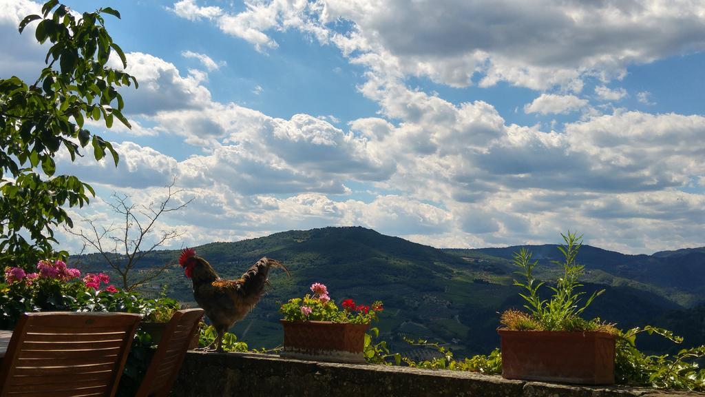 Agriturismo La Fontaccia Rufina Екстериор снимка