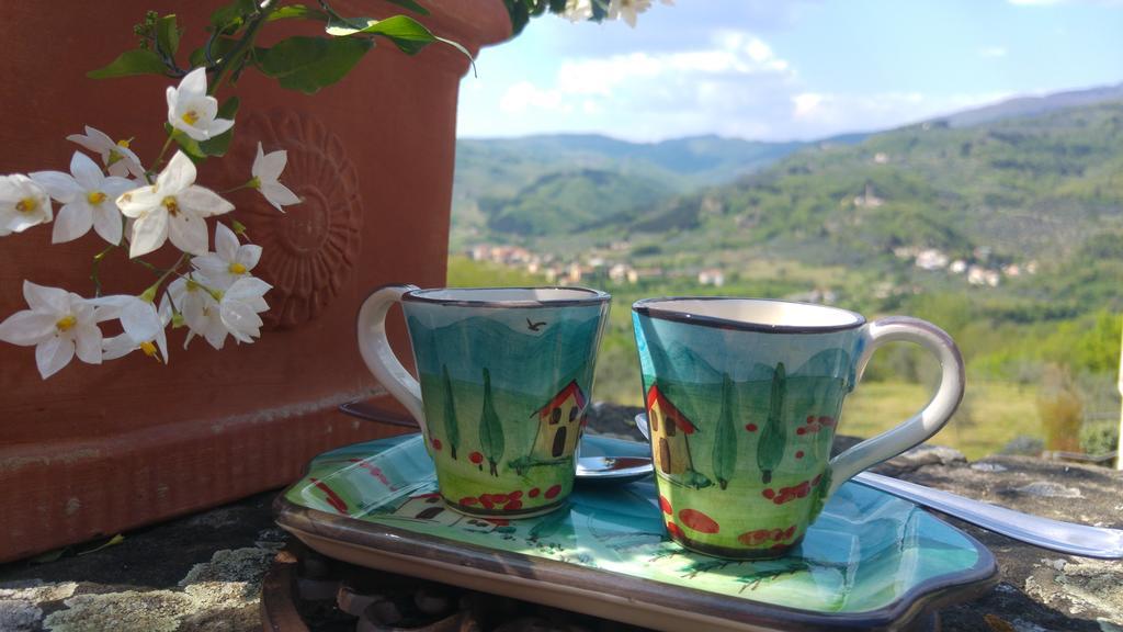 Agriturismo La Fontaccia Rufina Екстериор снимка