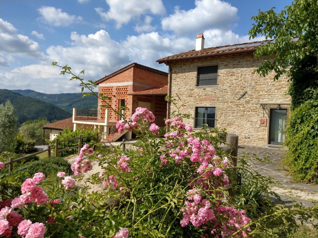 Agriturismo La Fontaccia Rufina Екстериор снимка